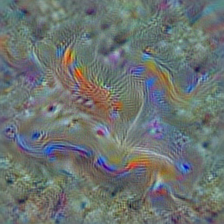 n01945685 slug